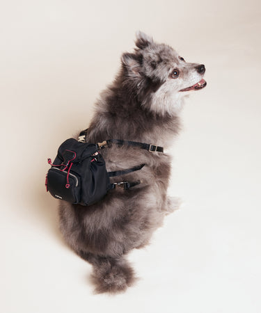 Dog Backpack Bag Caraa