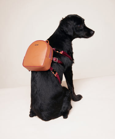 Dog Backpack Bag Caraa