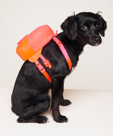Dog Backpack Bag Caraa