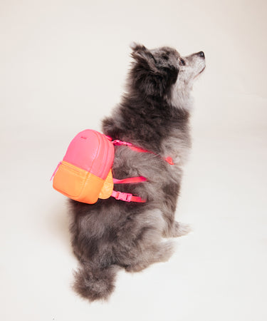 Dog Backpack Bag Caraa