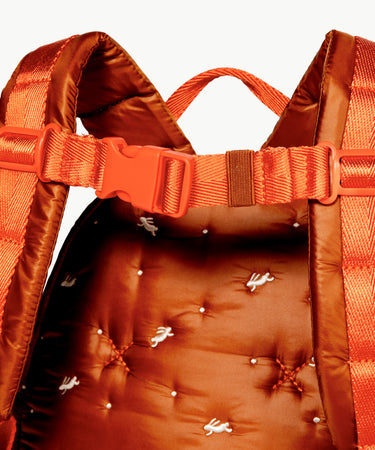 Kids Backpack (Ages 2-5) Bag Caraa