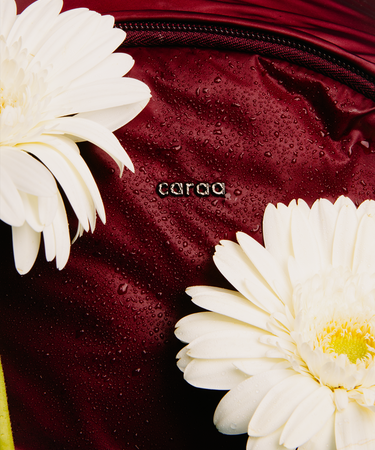 A close-up of a dark burgundy or maroon fabric surface with water droplets, featuring the small 'caroo' logo in the center and two large white daisy flowers framing the shot.