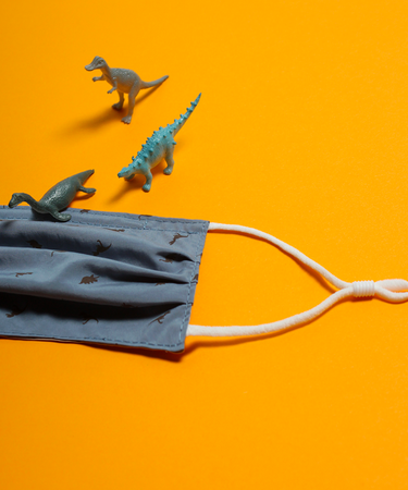 4 Iron-Free Printed Masks mask Caraa