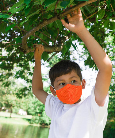 Assorted Harajuku Colors